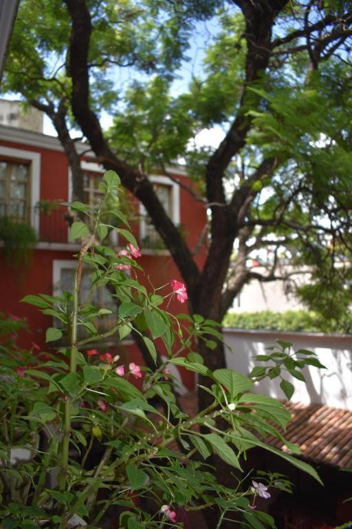 Hotel Ana Catalina And Suites San Miguel de Allende Zewnętrze zdjęcie
